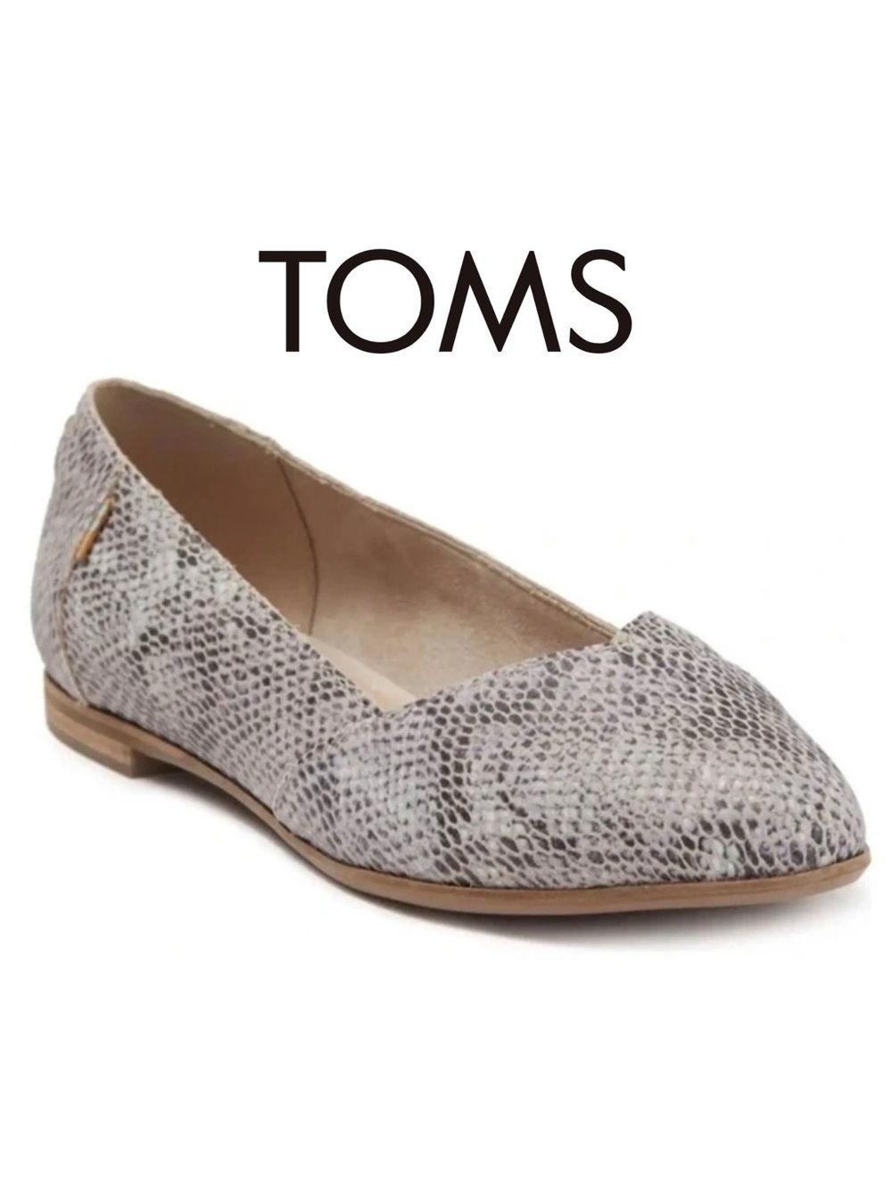 TOMS Julie Snake Print Flat